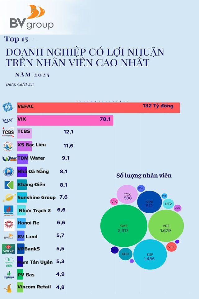 BV LAND VÀO TOP 15 DOANH NGHIỆP CÓ LỢI NHUẬN TRÊN MỖI NHÂN VIÊN CAO NHẤT THỊ TRƯỜNG
