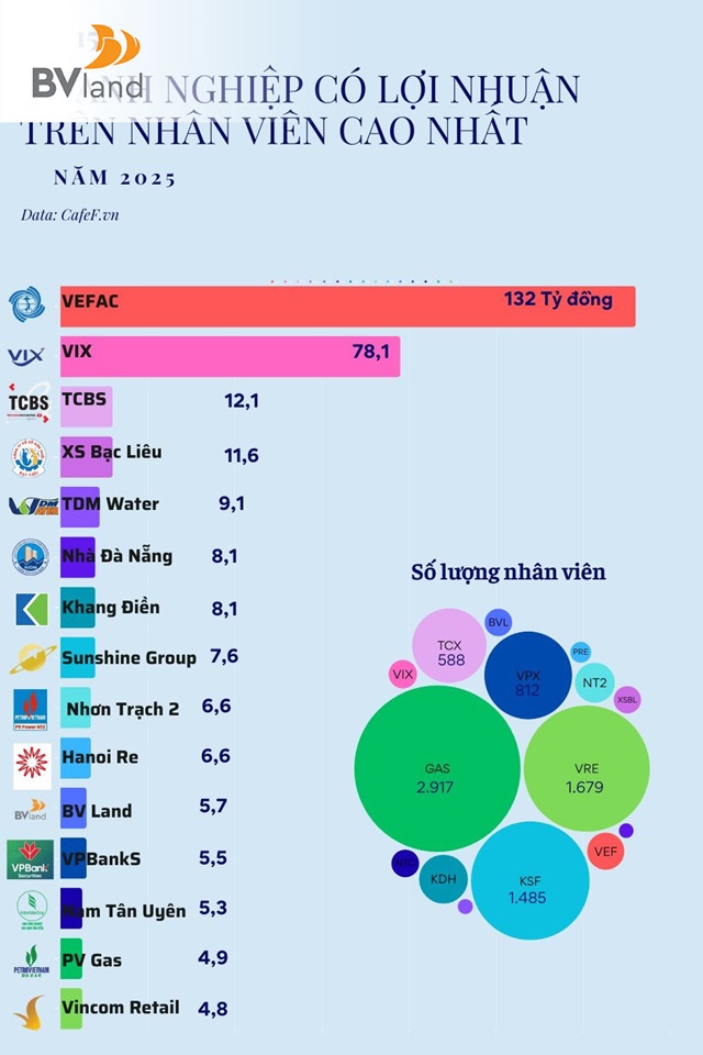 BV LAND VÀO TOP 15 DOANH NGHIỆP CÓ LỢI NHUẬN TRÊN MỖI NHÂN VIÊN CAO NHẤT THỊ TRƯỜNG